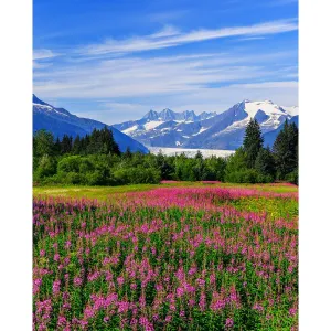 Alaskan Meadow Printed Backdrop