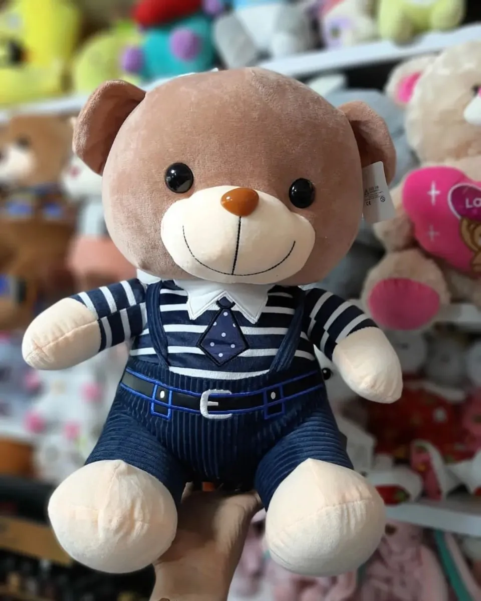 Cute Plush Tie Bear