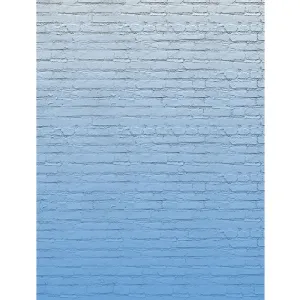 Powder Blue Ombre Brick Printed Backdrop