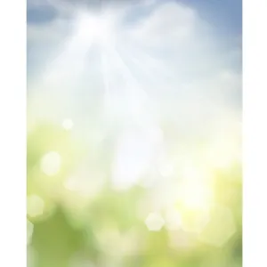 Sunbeam Bokeh Printed Backdrop