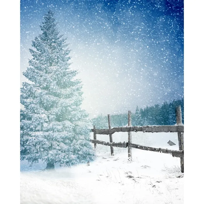 Winter Dream Printed Backdrop